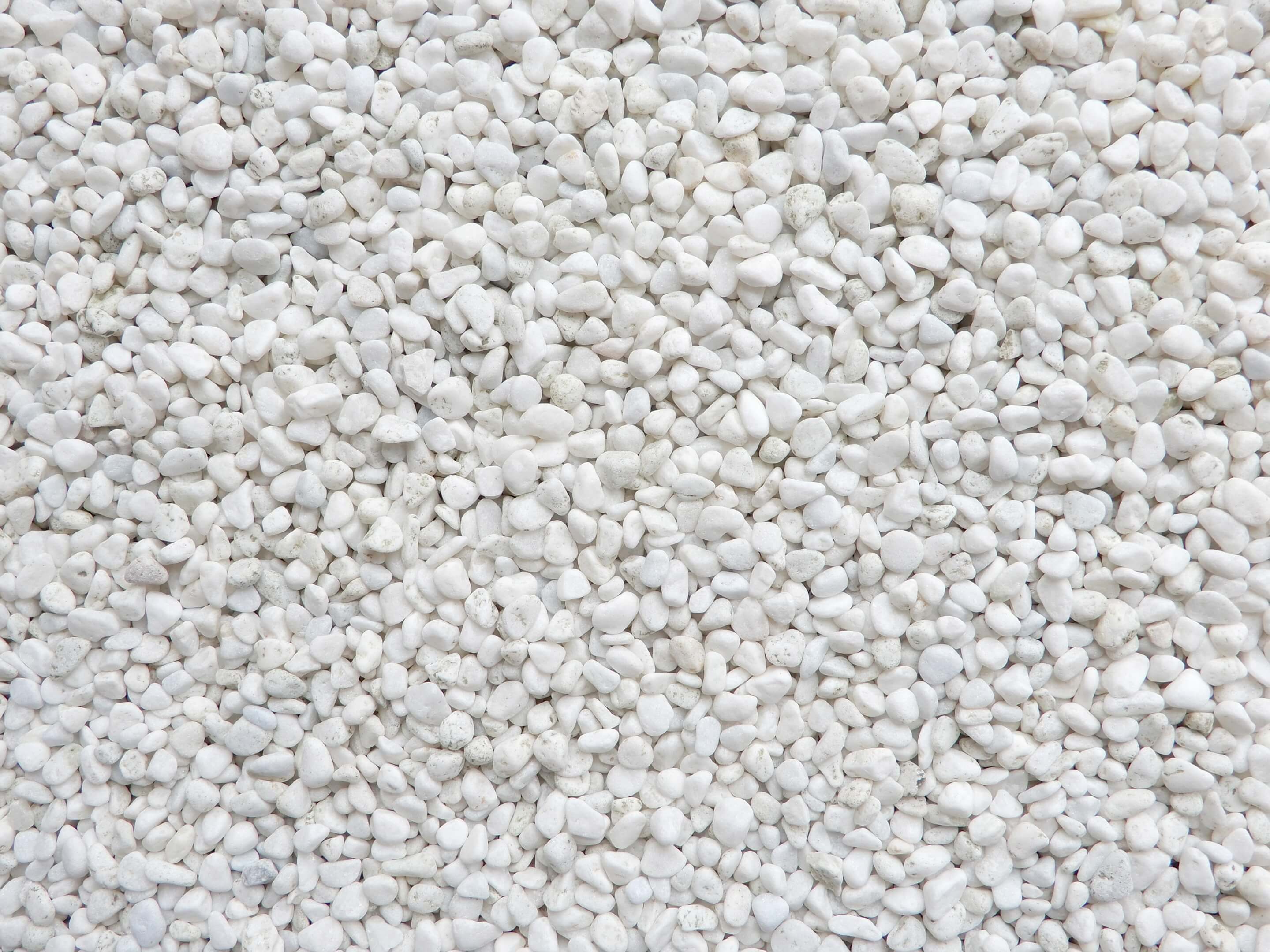 ご相談・現地調査申込み