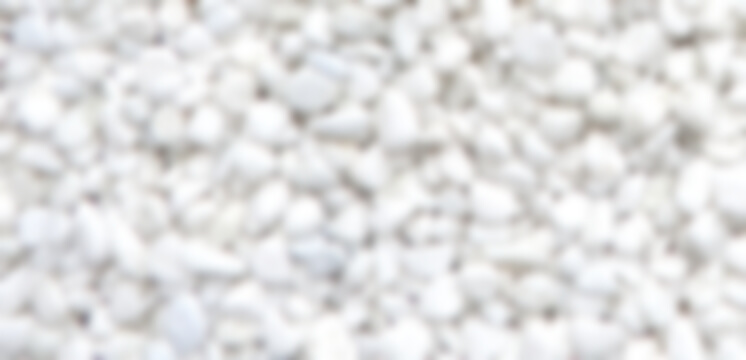 代表メッセージ