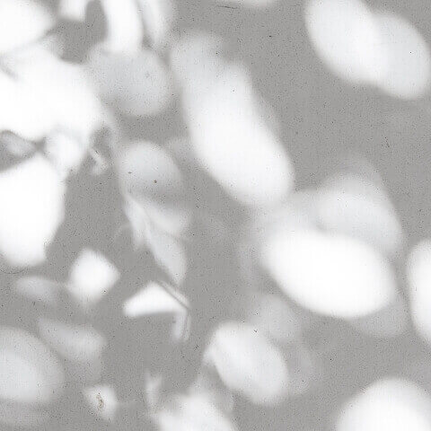 家族の時間を育む、その場所に。