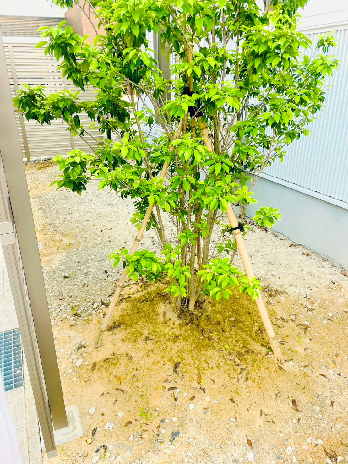 手入れのしやすさと見た目を両立した人工芝スペース ?>